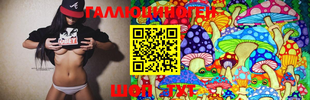 как найти закладки  Псилоцибиновые грибы MAGIC MUSHROOMS  Вход с VPN  Псилоцибиновые грибы Cubensis  Можайск 